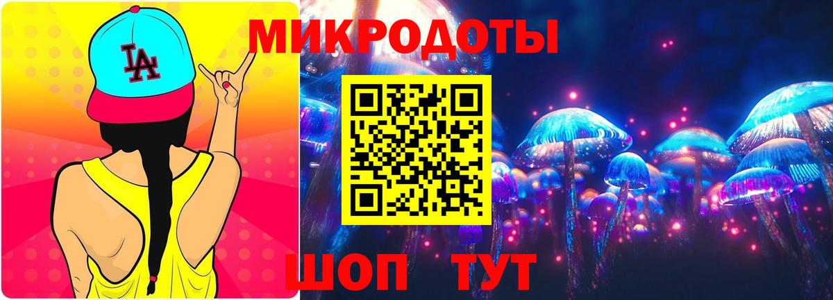 Галлюциногенные грибы Psilocybe  Вход с VPN  Карачаевск  Псилоцибиновые грибы прущие грибы 